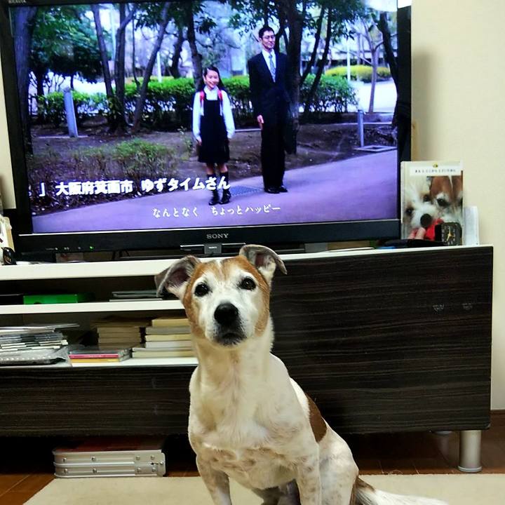 9cc4479c 5eba 4053 8271 a0535d6d54b8 1555020234429