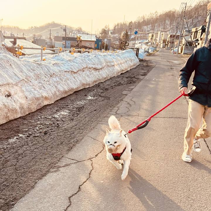 9cc44841 9424 4f0d 87a5 57a750ee69ab 1712959163209