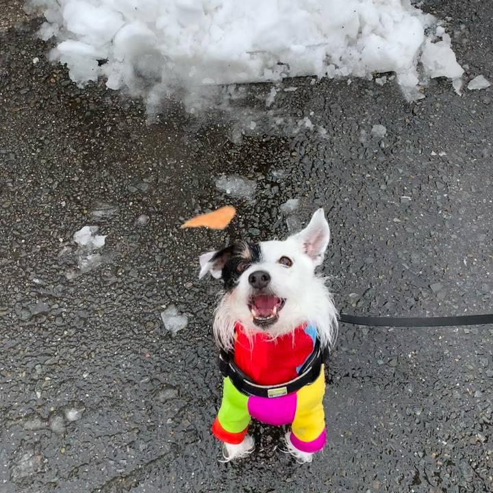 9cc45e11 5feb 41b8 a076 c45768ffb7f7 1707182637813