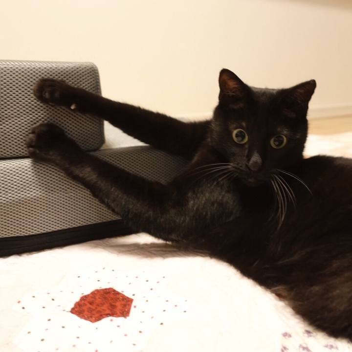 9cc47de2 4162 404c 921c 874a469bf8f1 1561047033185