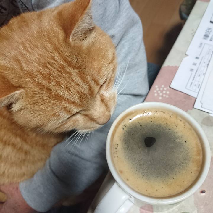 9cc48196 d01b 4dca 885e f3e759adfd1c 1607630046352