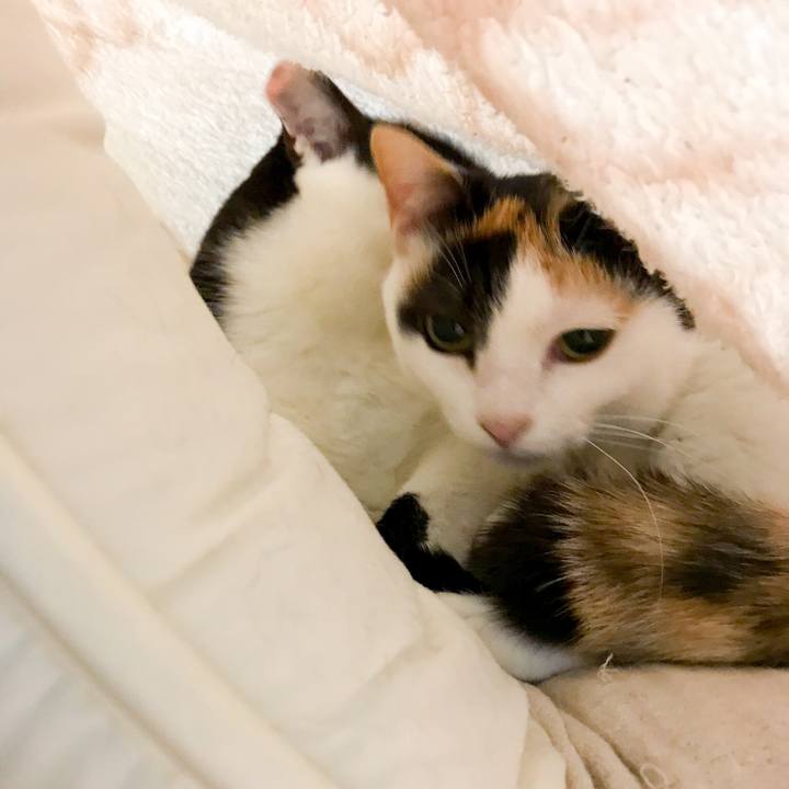 9cc4895d c3ce 4066 89ff 23db1597eac6 1521901898565