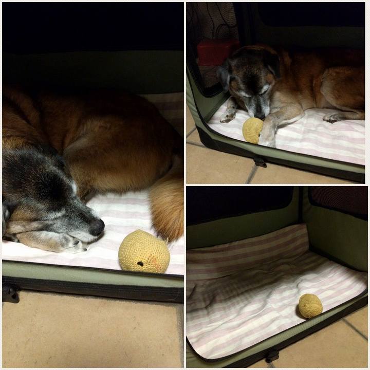 9cc49146 c0ab 4f13 9d2a e938fa9a3e9a 1540306201540