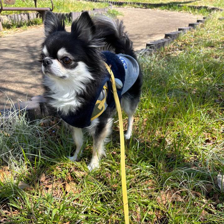 9cc4cf52 03eb 4e8f ba80 eebab04e107a 1742487187086