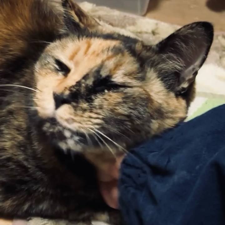 9cc4ed34 b5bc 4d4d b061 d1614e4abd5c 1733219025197