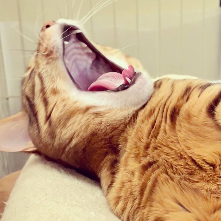 9cc4ed6e 1994 4fb5 a123 eaa9f047159e 1641769946322