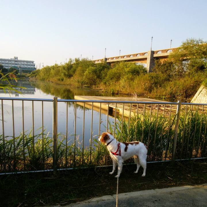 9cc5033a 15b9 48ba 9b00 35935d7eaabc 1539907196221