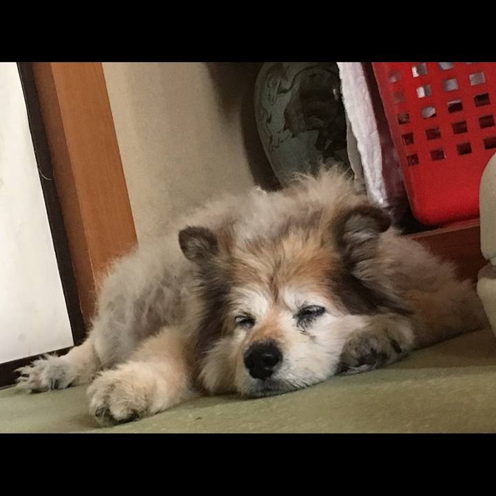 9cc54c62 b914 4a24 b128 798635bbc8e7 1647922433642