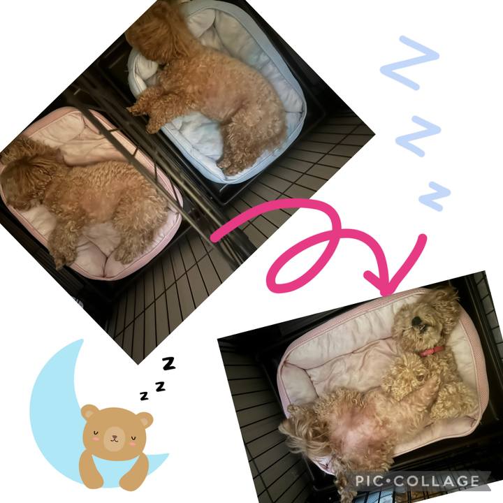 9cc5523d 34c7 46cc 8bd3 11263f58aafd 1754875729789