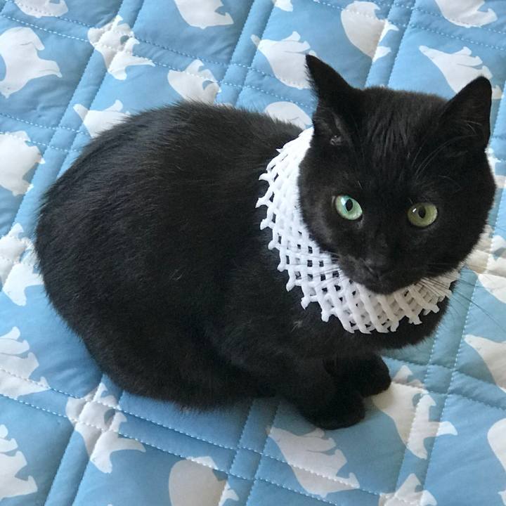 9cc5755e e6a5 4a64 a745 cd277f924e78 1565572787585