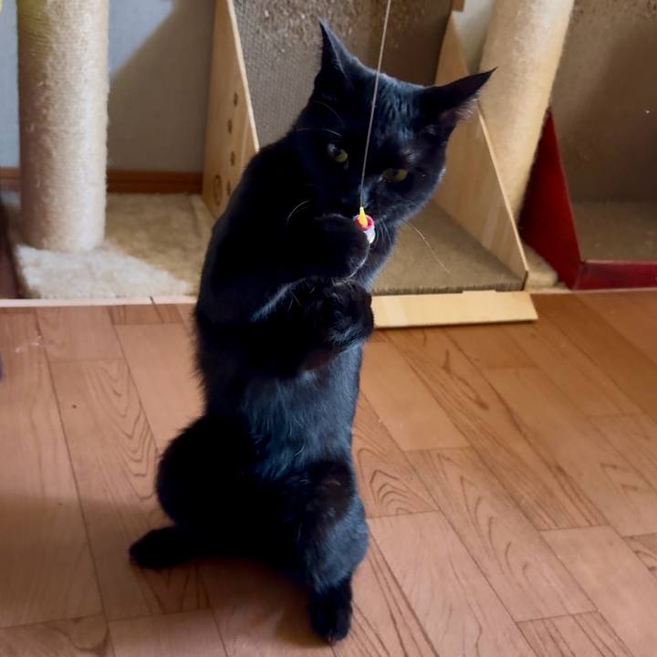 9cc589d6 88ac 4401 8897 9f631c365ccf 1756563301331