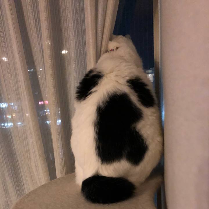 9cc5b2f3 383f 4bb1 b4c3 1afc07f9b3fa 1545654150994