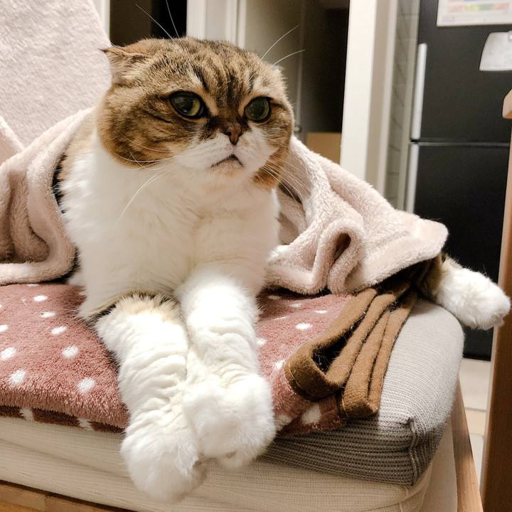 9cc5e92b d40c 4192 8bd1 409fe560fa5a 1571063371883