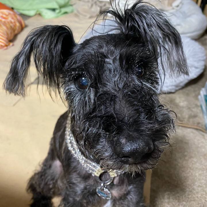 9cc5f11f 9367 422b a010 42217e59f4d4 1623238032785