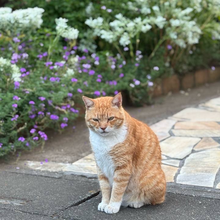 9cc5f1b6 c8be 44f4 ab42 1ae811140753 1756176418825