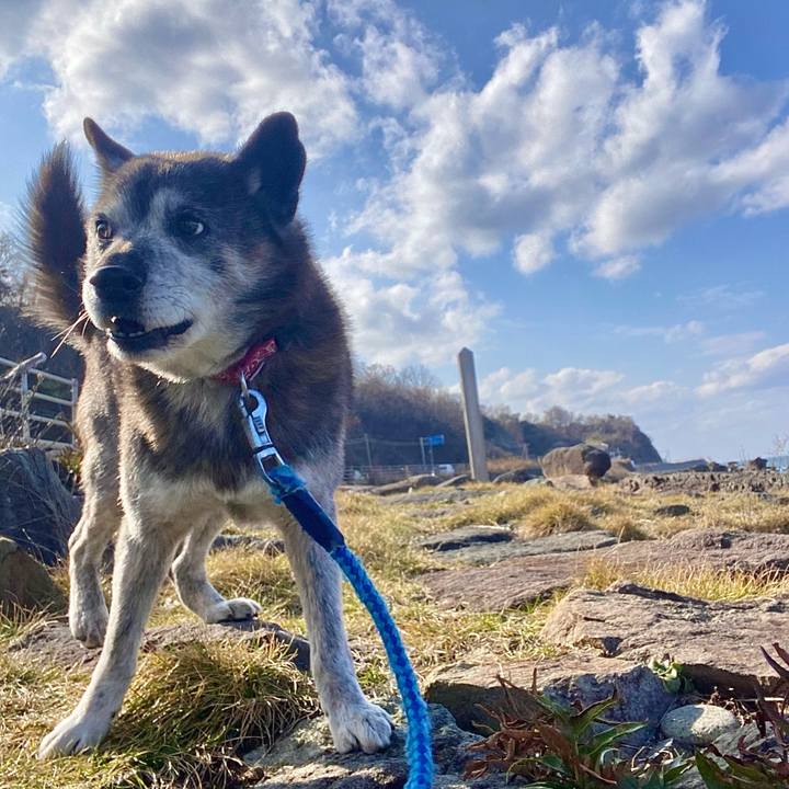 9cc60585 ace7 4977 b85b 4f2481689f02 1737693071718