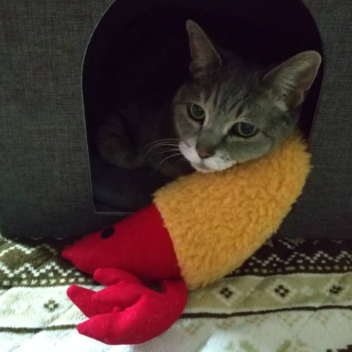 9cc60ba8 9b5f 4322 8f51 c2053afc9e5c 1679709939381