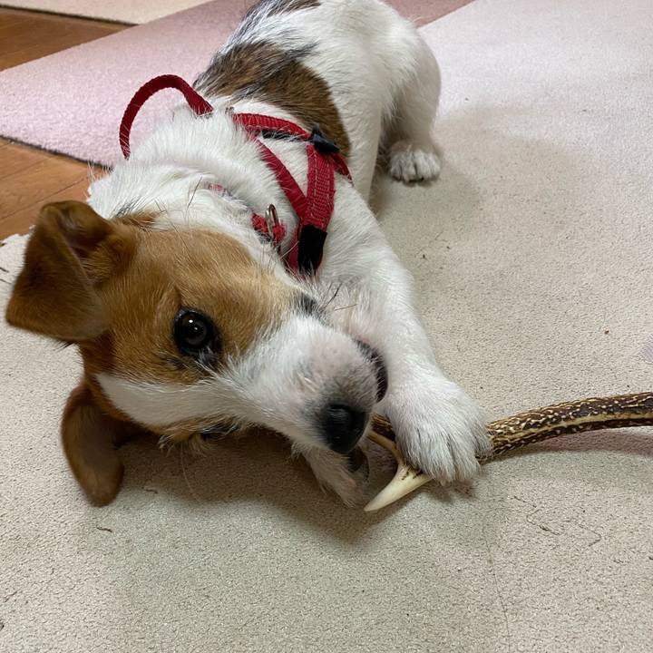 9cc61d50 82ac 4c0e a8cc 90bc71628cc0 1620348365426