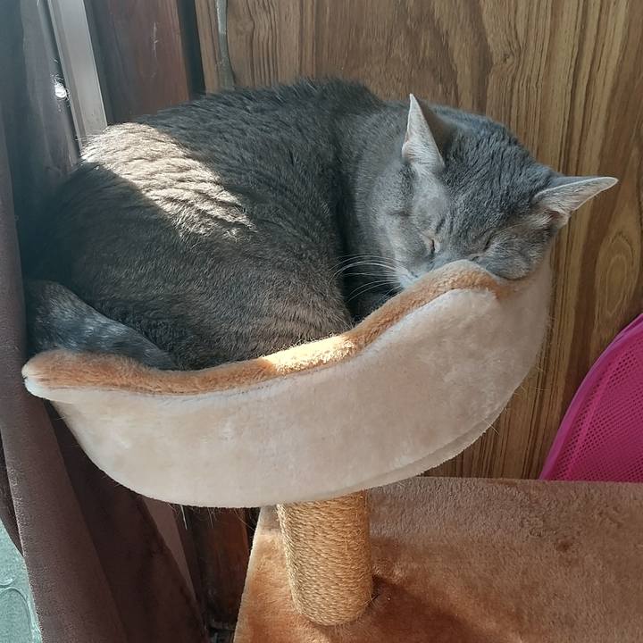 9cc63c5a 0322 4c9e 9b24 3b67ffa2c8f3 1605411014651