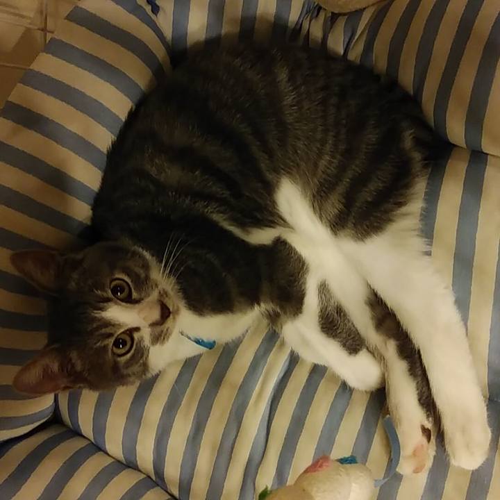 9cc65063 cfd6 49ae 87df 7358f3a87b2e 1567872297879