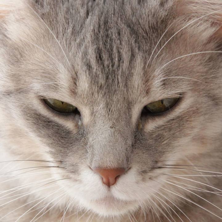 9cc67066 5df3 4ef2 b6da 493525f52e93 1574570196230