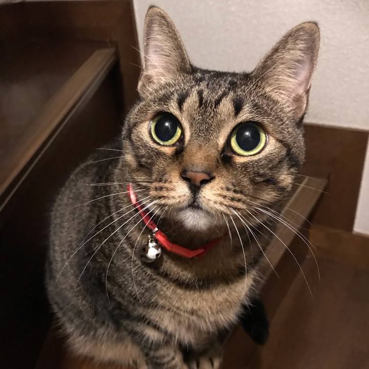 9cc687ad 5508 47d8 beea 34ab31a6aea2 1580407250037