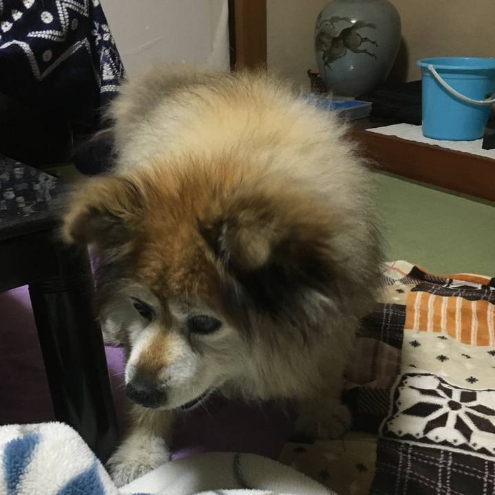 9cc6927b b4ab 4010 8bd2 997719fc096c 1569816876187