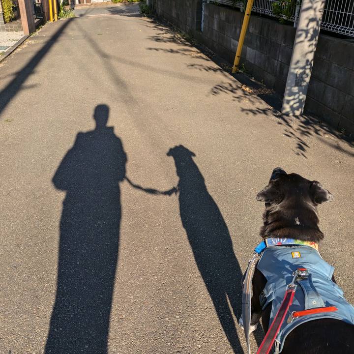 9cc6ac89 52a2 40ae ad82 f03481d5566d 1724627993837