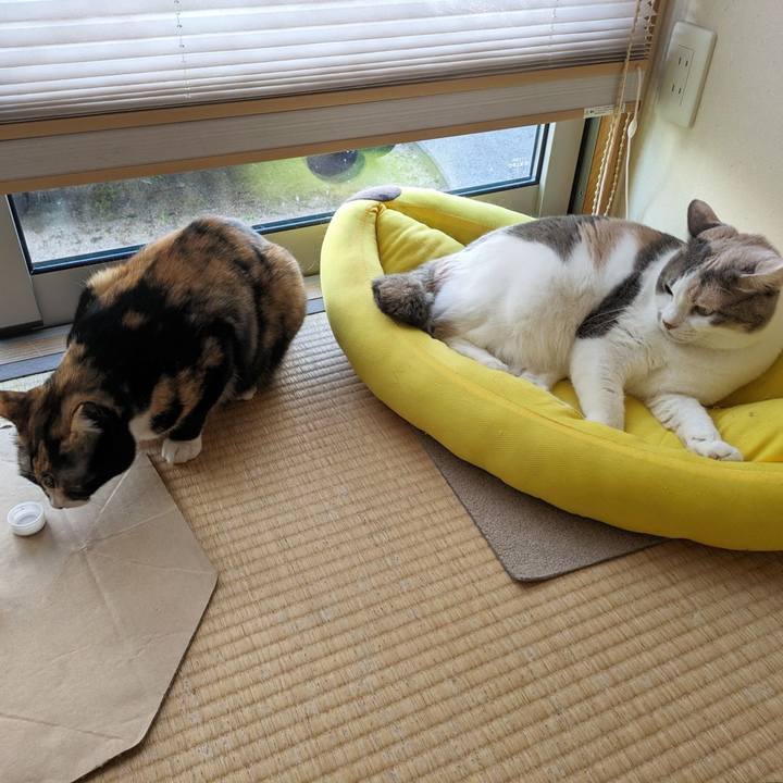 9cc6dd4f 6990 4500 b2d5 5158bff855a1 1698552429659