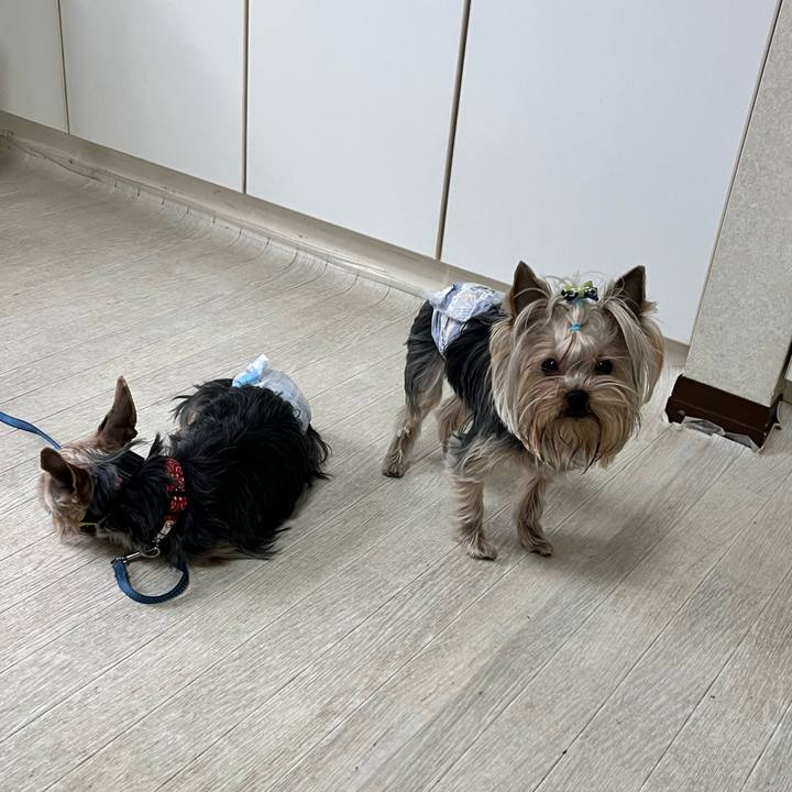 9cc707b2 00b8 4650 a84f 941cb519f9f6 1772855267785