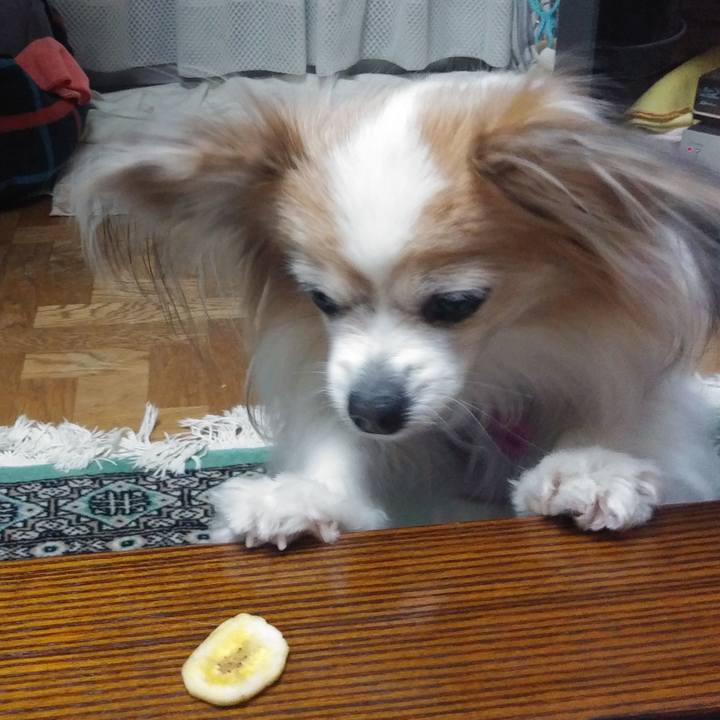 9cc755f6 945f 46c8 8dce e2ab38fa1038 1549804566876