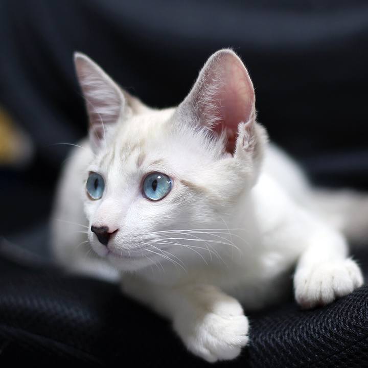 9cc75607 8314 4648 ac63 d49c720d391c 1602667173977