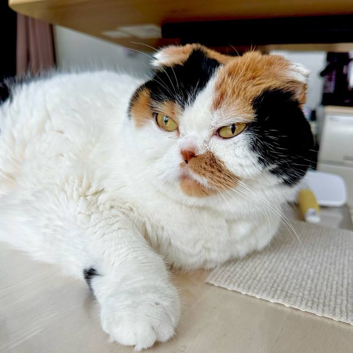 9cc75b14 977c 420e bc5c 7203f1f4598e 1719332385502