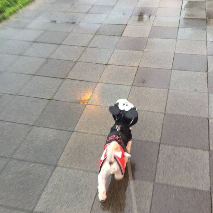 9cc78aa5 c94a 4c98 9d3b 94837abf919b 1537959212096