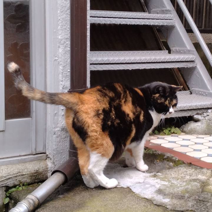 9cc7bfe9 307a 4460 bf6f 1640a62d3837 1705999035739