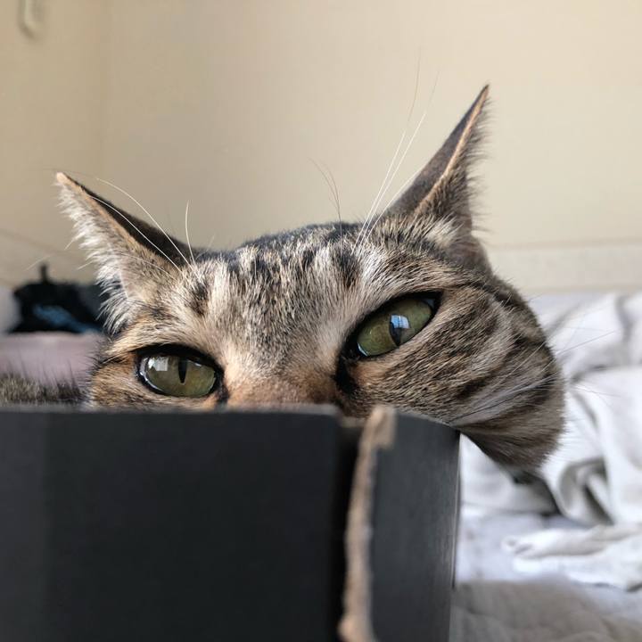 9cc7f068 e96e 426c a321 a2da76805253 1653682181145