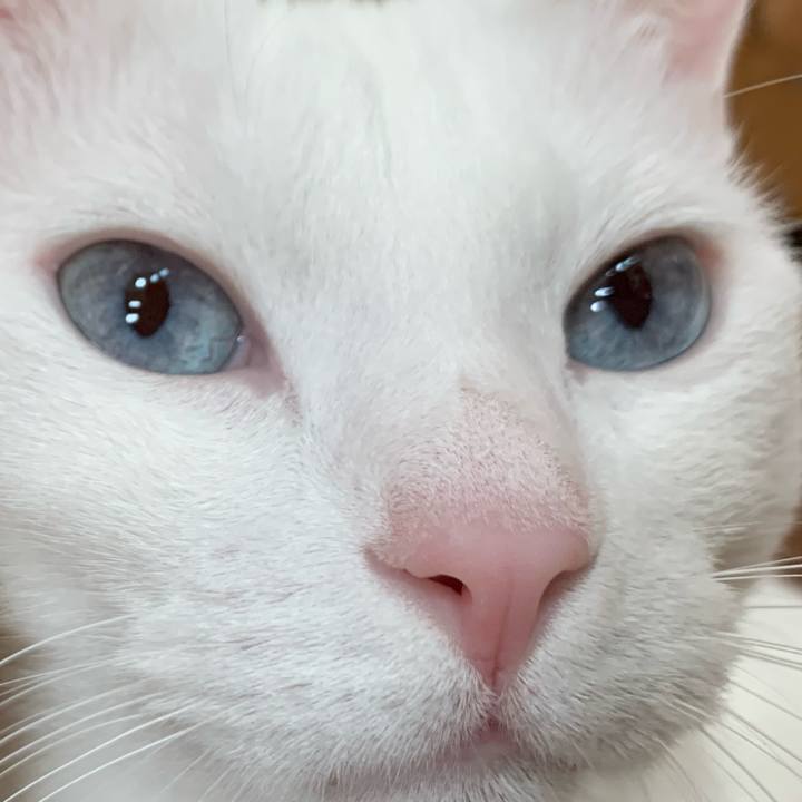 9cc82139 6835 4e7f 807e d4f80f23421d 1586585169224