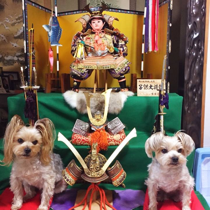 9cc83f4e dc57 44a0 8f44 28509d6426ae 1525514318347