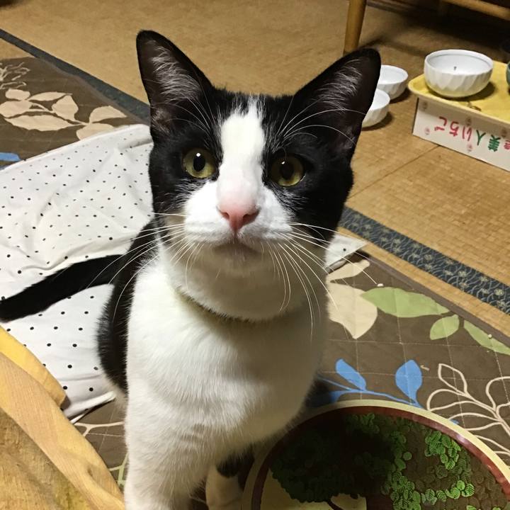 9cc88118 e9e1 4cd7 aad6 e38a71e73bf8 1652262860278