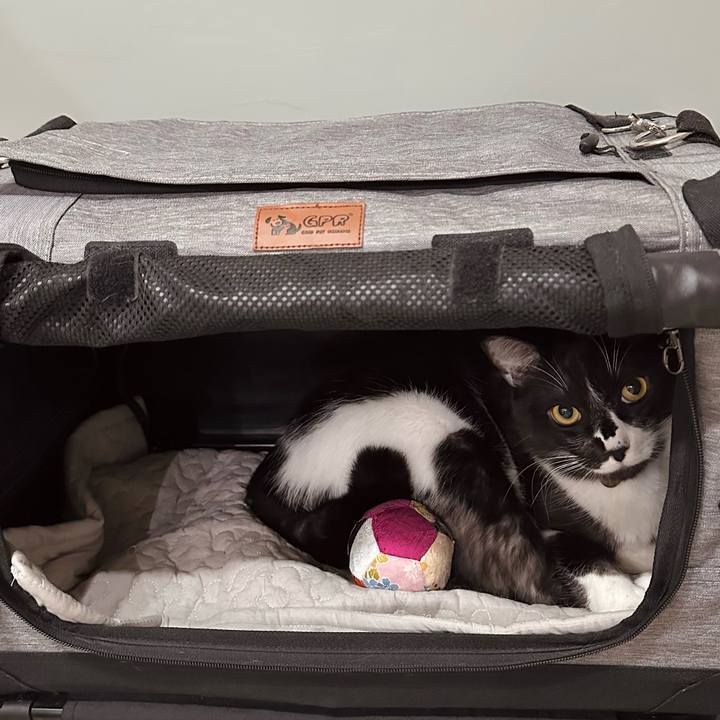 9cc8cb1f 796b 43cc a2c4 913ec7ec4ec0 1765200806858