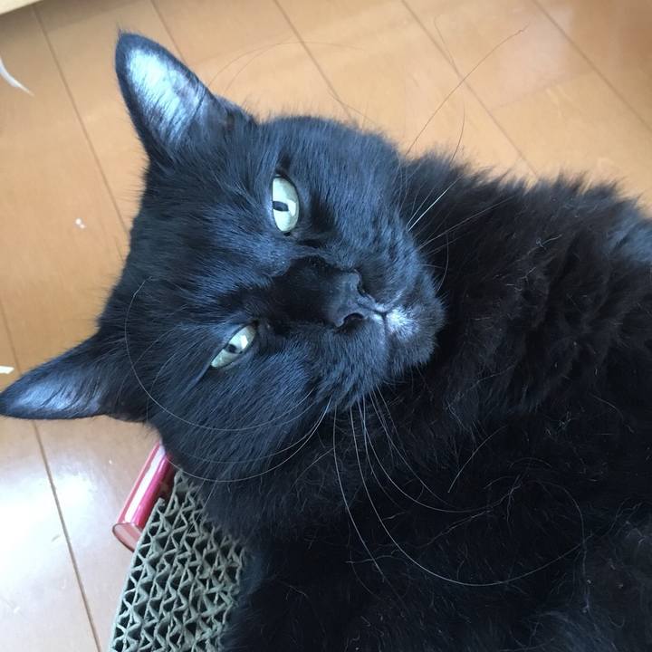 9cc8e5ef e294 4e0c 8828 42bfa8f45da3 1570582813999