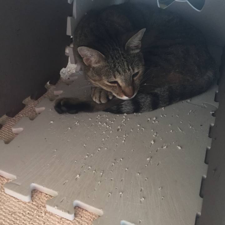 9cc903f8 dbb0 410e a580 c2eecf94c3c5 1536279419658