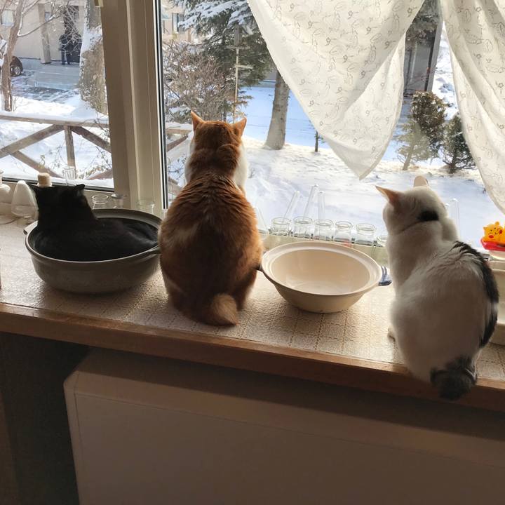 9cc908f9 6e5f 4bd5 878e 83f8a0cb2fad 1577848915364