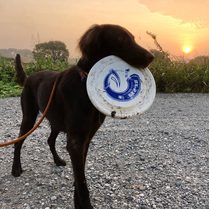 9cc92cba 6b4e 469c be85 1b3fef532880 1569978414796