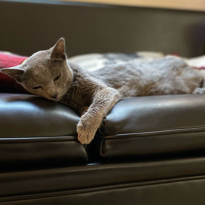 9cc93e77 893e 4f9d 8b0a ca97cafa9018 1624322972318