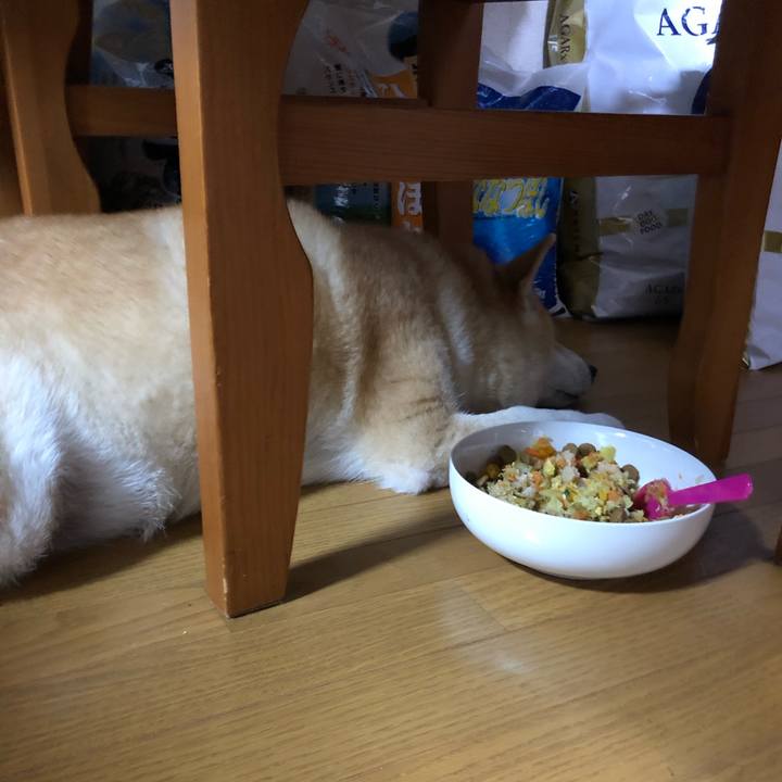 9cc95bba 8f43 49c0 a464 9517ef625c5b 1568034459370