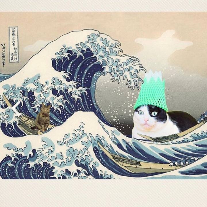 9cc99f96 2505 4b25 af46 03ea361ab8f4 1558009924198