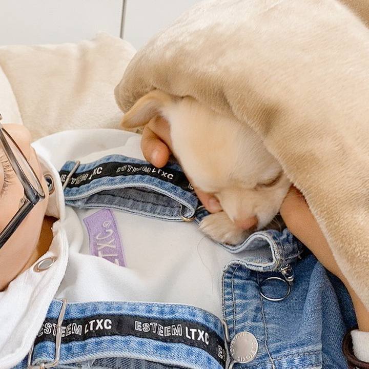 9cca03cf a6be 4109 82e3 d31221e22cb8 1610429156972