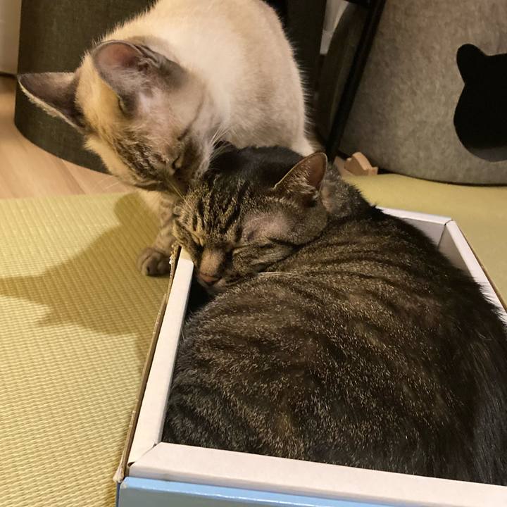 9cca0fb1 5617 4c6a a18b 669b06fa2259 1693094913013