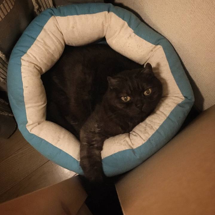 9cca2e62 a3e0 4e16 b8b2 be131b76173a 1557070740614